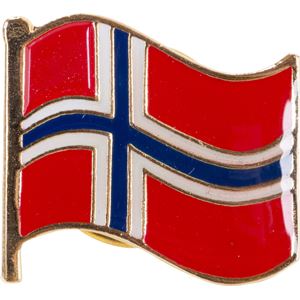 17. mai pin med Norsk flagg