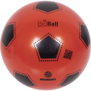 Fotball bio-plast Ø23cm V4
